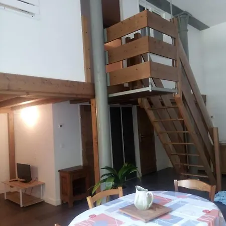 Duplex Sur Les Hauteurs Du Bourget ル・ブルジェ・デュ・ラック